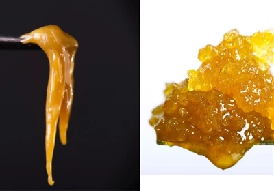 Live résine vs rosin ap viv: Ki sa ki nan diferans lan?