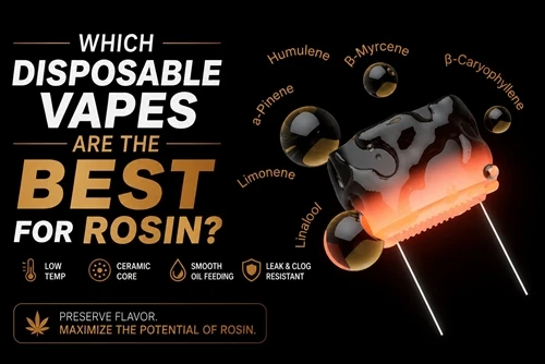 Ki Vapes jetab ki pi bon pou Rosin?